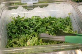 Wile baby arugula among several greens on the salad bar