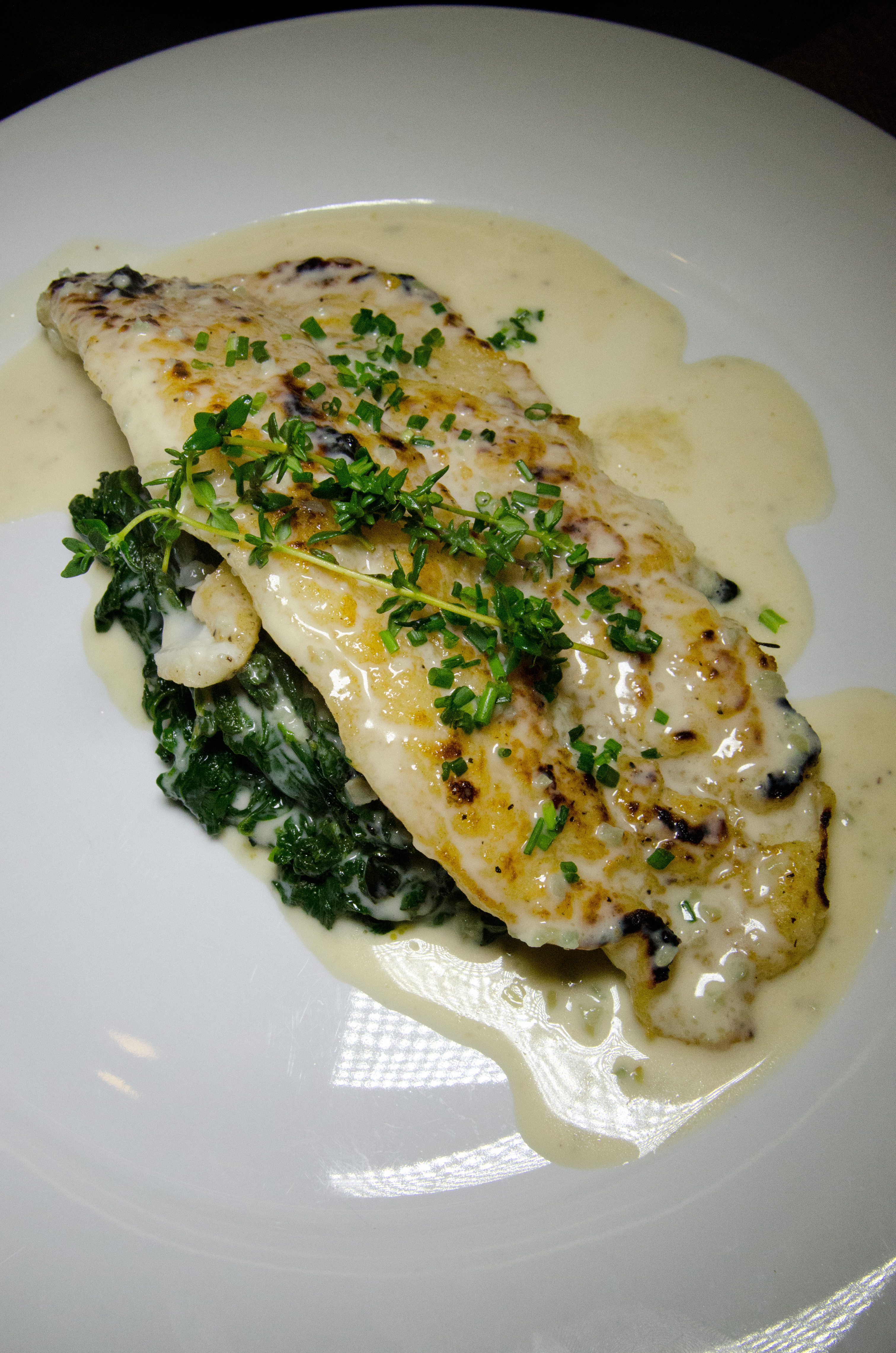 pan-seared sole with champagne & dill cream sauce