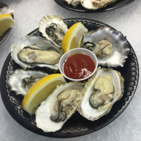 Oysters on the half shell